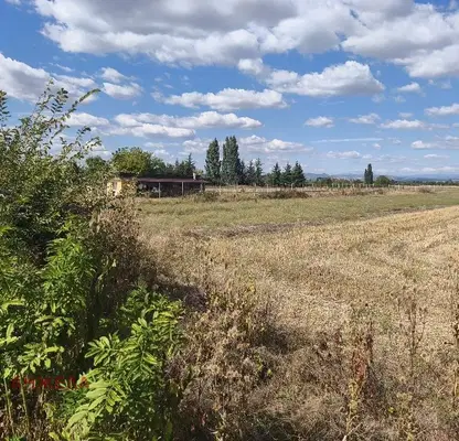Снимка 3 — Нива в Пазарджик, с. Звъничево