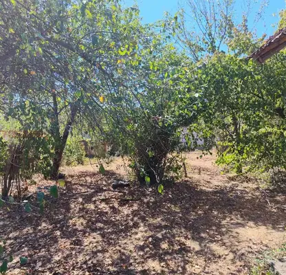 Photo 4 — House with 3 rooms and large yard in Etropole