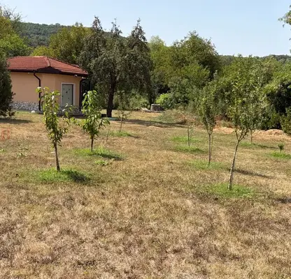 Photo 5 — 3-room house in Brusen village, Vratsa region with yard and greenhouse