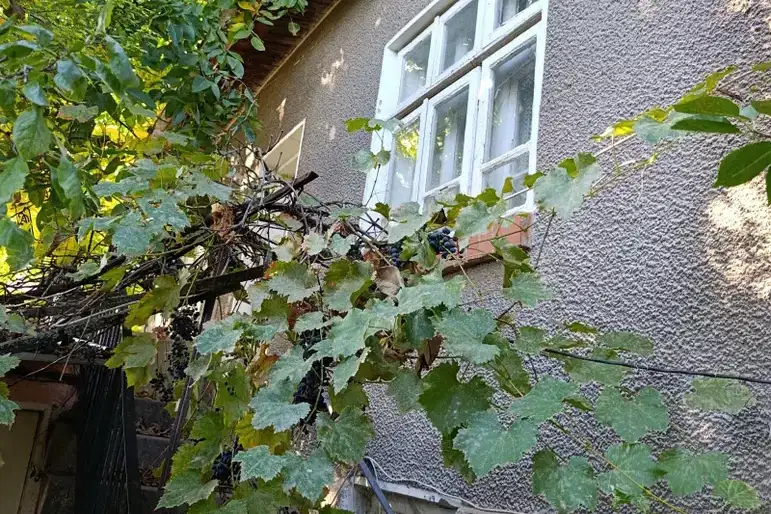 Къща в Русе, с. Червена вода