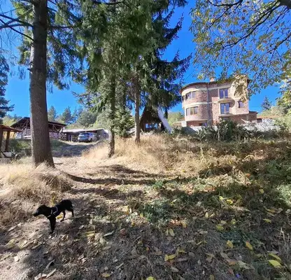 Photo 5 — House with bungalow and veranda in m-t Shtarkelovo gnezdo, Sofia