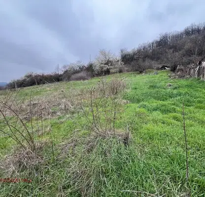 Photo 3 — Plot in област София, Elin Pelin
