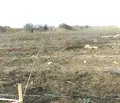 Снимка 5 — Парцел в Добрич, с. Езерец