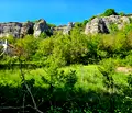 Снимка 3 — Парцел в Плевен, с. Горталово