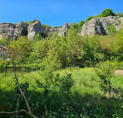 Снимка 3 — Парцел в Плевен, с. Горталово