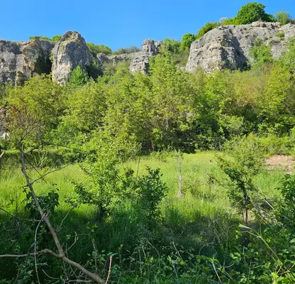 Снимка 4 — Парцел в Плевен, с. Горталово