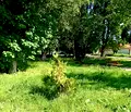 Снимка 2 — Парцел в София, с. Лесново