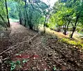 Снимка 4 — Парцел в с. Мърчаево