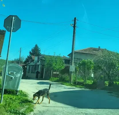 Photo 2 — Plot in Varna, Osenovo