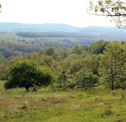 Снимка 5 — Парцел в Бургас, с. Раковсково