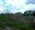 Снимка 4 — Парцел в Русе, с. Щръклево