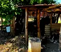 Снимка 5 — Парцел в Силистра, с. Шуменци