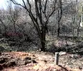 Снимка 2 — Парцел в Стара Загора, с. Сулица