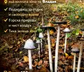 Снимка 2 — Парцел в с. Владая