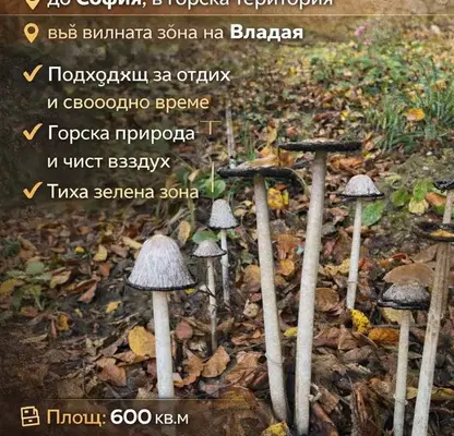 Photo 2 — Plot in Vladaya