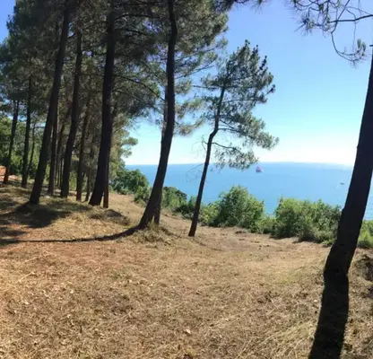 Photo 2 — Plot in Varna, Rakitnika