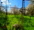 Снимка 4 — Парцел в Добрич, м-т Газибаба