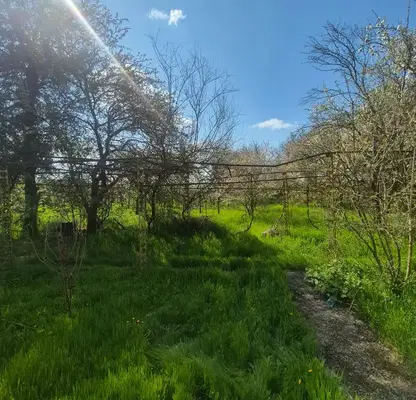 Photo 5 — Plot in Dobrich, Gazibaba