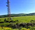 Снимка 2 — Парцел в Ловеч, Дръстене