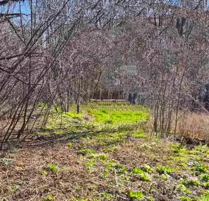 Снимка 2 — Парцел в Перник, Драгановец