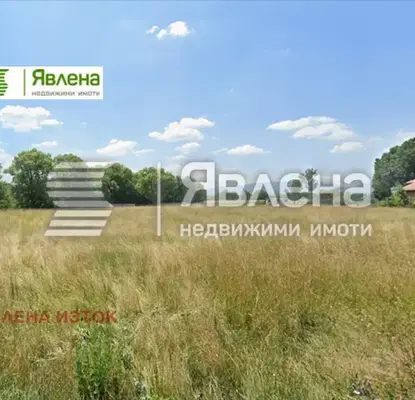 Photo 5 — Plot in Voluyak