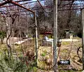 Снимка 5 — Парцел във Варна, м-т Боровец - север