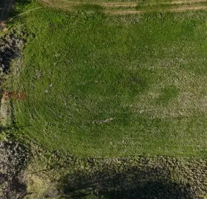 Photo 5 — Agricultural Land in Oblast Lovech, Golec