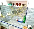 Снимка 4 — Двустаен апартамент в Бургас, Айтос