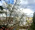 Снимка 2 — Двустаен апартамент с две тераси в Център, Бургас
