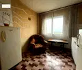 Снимка 5 — Многостаен апартамент в Стара Загора, Раднево