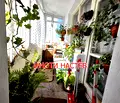 Снимка 4 — Тристаен апартамент в Шумен, Център