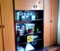 Снимка 5 — Тристаен апартамент в Шумен, Добруджански