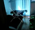 Снимка 5 — Двустаен апартамент с тераса в Център, София