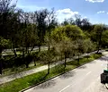Снимка 5 — Тристаен апартамент с функционално разпределение в Докторски паметник