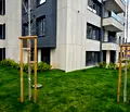 Снимка 4 — Просторен 4-стаен апартамент с двор в Драгалевци, София