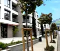 Снимка 3 — Тристаен апартамент в Кръстова вада, София