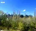 Снимка 3 — Двустаен апартамент с голяма тераса в Лозенец, София