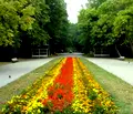 Снимка 4 — Тристаен апартамент с балкон в Люлин 10, София