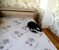 Снимка 4 — Двустаен апартамент с югоизточно изложение в Люлин 2, София
