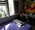 Снимка 5 — Двустаен апартамент в Люлин 9 с асансьор на 5-ти етаж
