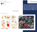Снимка 5 — Тристаен апартамент с двор в м-т Гърдова глава, София