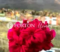 Снимка 4 — Тристаен апартамент с две тераси в Манастирски ливади, София