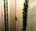 Снимка 4 — 3-стаен апартамент в Манастирски ливади с две бани