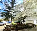 Снимка 2 — 3-стаен апартамент в Аспарухово с тераса и асансьор