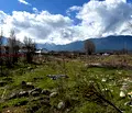 Снимка 4 — Парцел в Благоевград, Банско