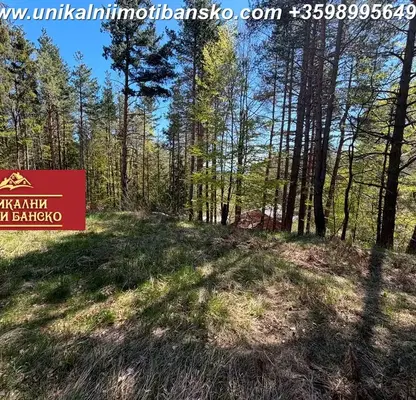 Снимка 2 — Парцел в Благоевград, Банско