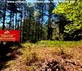 Снимка 5 — Парцел в Благоевград, Банско