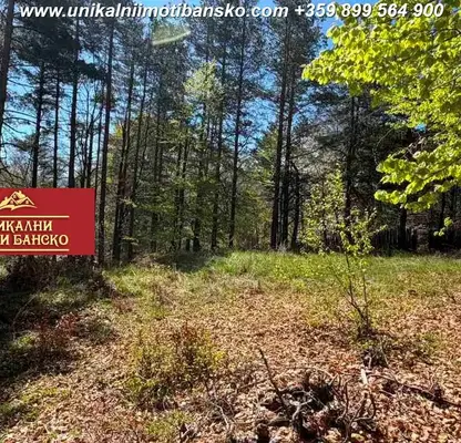 Снимка 5 — Парцел в Благоевград, Банско
