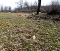 Снимка 5 — Парцел в Монтана, Берковица