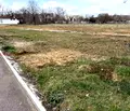 Снимка 4 — Парцел в Монтана, Берковица
